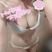 ヒメ日記 2025/11/18 22:36 投稿 ここみ 秋葉原コスプレ学園(AKG)