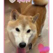 ヒメ日記 2025/09/24 11:16 投稿 きょうか 渋谷 風俗 奥様発情の会