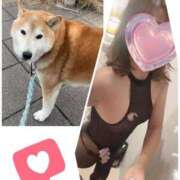 ヒメ日記 2025/11/12 11:58 投稿 きょうか 渋谷 風俗 奥様発情の会