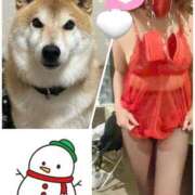 ヒメ日記 2025/12/05 15:02 投稿 きょうか 渋谷 風俗 奥様発情の会