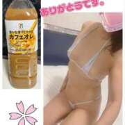 ヒメ日記 2026/04/12 16:07 投稿 きょうか 渋谷 風俗 奥様発情の会