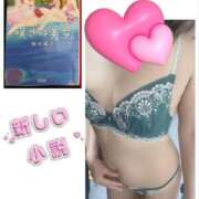 ヒメ日記 2026/04/13 12:34 投稿 きょうか 渋谷 風俗 奥様発情の会