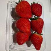 ヒメ日記 2024/12/25 20:28 投稿 えな 福島♂風俗の神様 郡山店