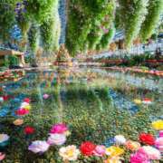 ヒメ日記 2025/04/06 10:50 投稿 あや エロティックマッサージ 錦糸町