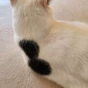 ヒメ日記 2025/04/29 12:34 投稿 あや エロティックマッサージ 錦糸町