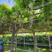 ヒメ日記 2025/05/13 12:06 投稿 あや エロティックマッサージ 錦糸町