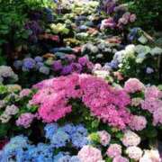 ヒメ日記 2025/06/21 12:51 投稿 あや エロティックマッサージ 錦糸町