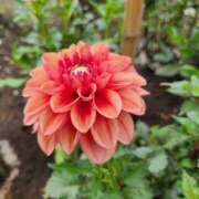 ヒメ日記 2025/09/30 12:54 投稿 あや エロティックマッサージ 錦糸町