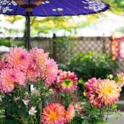 ヒメ日記 2025/10/04 12:37 投稿 あや エロティックマッサージ 錦糸町