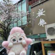 ヒメ日記 2026/04/14 14:29 投稿 あや エロティックマッサージ 錦糸町