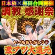 平良あまね イベントです🎪 奴隷志願！変態調教飼育クラブ本店