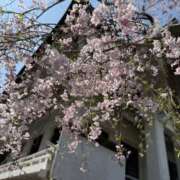 澪 ( ᴗ ᴗ)⁾⁾ 吉原アクアパレス