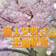 ヒメ日記 2024/03/07 08:32 投稿 りんか えっちなマッサージ屋さん広島店