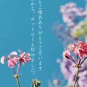 ヒメ日記 2024/10/20 14:33 投稿 りんか えっちなマッサージ屋さん広島店