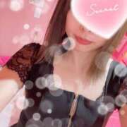 ヒメ日記 2025/02/16 03:13 投稿 みき マリン土浦本店