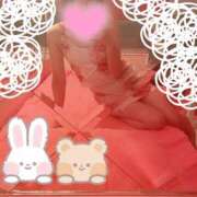 ヒメ日記 2025/04/13 09:02 投稿 みき マリン土浦本店