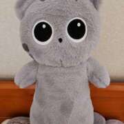 ヒメ日記 2025/02/26 08:52 投稿 優子(ゆうこ) あなたの妻