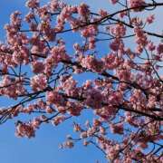 ヒメ日記 2025/02/28 15:48 投稿 優子(ゆうこ) あなたの妻