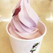 ヒメ日記 2025/03/11 12:39 投稿 優子(ゆうこ) あなたの妻