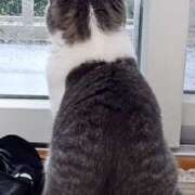 ヒメ日記 2025/05/29 08:48 投稿 優子(ゆうこ) あなたの妻