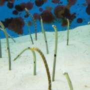 ヒメ日記 2025/09/08 14:57 投稿 優子(ゆうこ) あなたの妻