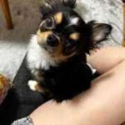 ヒメ日記 2025/09/15 20:11 投稿 木村まこ 大人のエッチなエステ