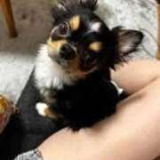 ヒメ日記 2025/12/02 23:41 投稿 木村まこ 大人のエッチなエステ