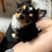 ヒメ日記 2025/12/06 16:45 投稿 木村まこ 大人のエッチなエステ