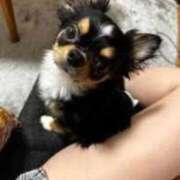 ヒメ日記 2025/12/14 00:53 投稿 木村まこ 大人のエッチなエステ