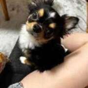 ヒメ日記 2026/02/28 13:25 投稿 木村まこ 大人のエッチなエステ