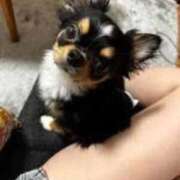 ヒメ日記 2026/03/03 13:41 投稿 木村まこ 大人のエッチなエステ