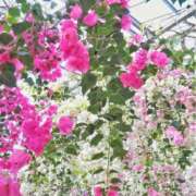 ヒメ日記 2025/08/31 23:54 投稿 らん カワサキ EROTIC