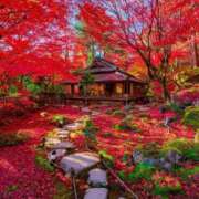 ヒメ日記 2025/09/11 10:25 投稿 らん カワサキ EROTIC