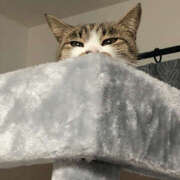 ヒメ日記 2025/04/08 19:42 投稿 あお 熟女の風俗最終章 宇都宮店