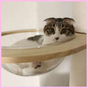 ヒメ日記 2025/04/09 20:32 投稿 あお 熟女の風俗最終章 宇都宮店