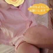 ヒメ日記 2025/10/27 09:01 投稿 七瀬梓 プルデリR40