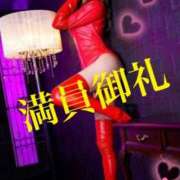 ヒメ日記 2025/04/01 10:50 投稿 るい 痴女M性感ボランジェ池袋