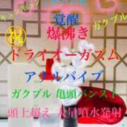 ヒメ日記 2025/04/08 08:45 投稿 るい 痴女M性感ボランジェ池袋