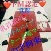 ヒメ日記 2025/04/10 11:31 投稿 るい 痴女M性感ボランジェ池袋