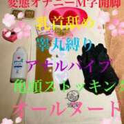 ヒメ日記 2025/04/11 09:03 投稿 るい 痴女M性感ボランジェ池袋