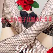 ヒメ日記 2025/06/11 06:00 投稿 るい 痴女M性感ボランジェ池袋