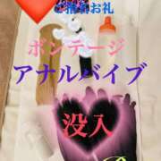 ヒメ日記 2025/10/29 17:58 投稿 るい 痴女M性感ボランジェ池袋