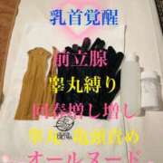 ヒメ日記 2025/04/22 10:00 投稿 るい 金の玉クラブ池袋～密着睾丸マッサージ～