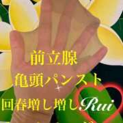 ヒメ日記 2025/08/05 17:16 投稿 るい 金の玉クラブ池袋～密着睾丸マッサージ～