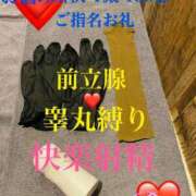 ヒメ日記 2025/08/27 06:30 投稿 るい 金の玉クラブ池袋～密着睾丸マッサージ～