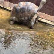 ヒメ日記 2025/08/18 20:58 投稿 みりあ 松本人妻隊