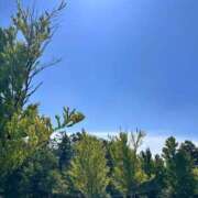 ヒメ日記 2025/08/20 20:08 投稿 みりあ 松本人妻隊