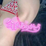 ヒメ日記 2025/10/24 13:56 投稿 ひろこ 奥様はエンジェル　町田店