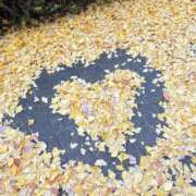 すみな みてみて デリス新宿