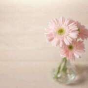 ヒメ日記 2025/03/13 12:05 投稿 りえ 奥様はエンジェル　町田店